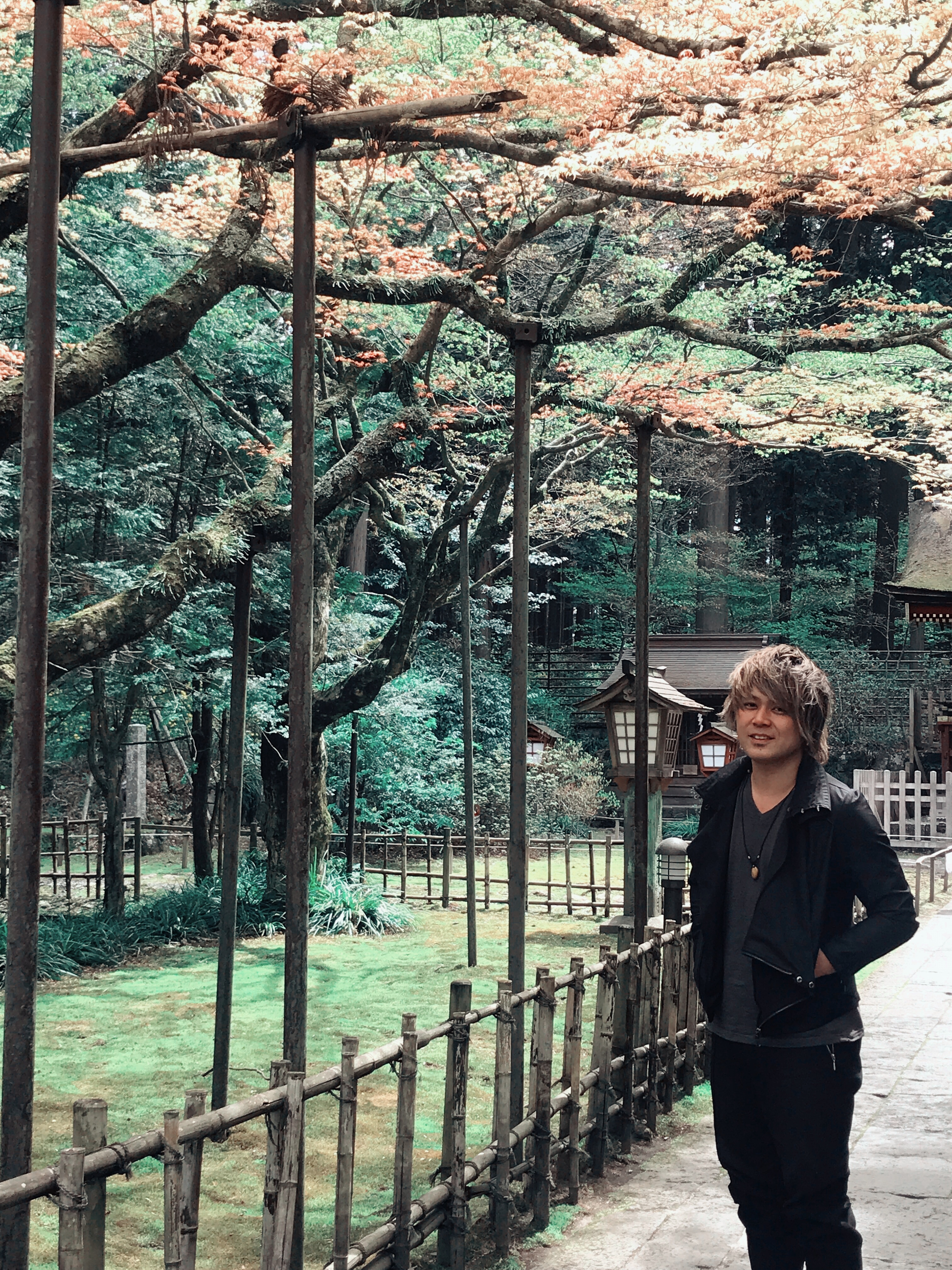 桑原淳